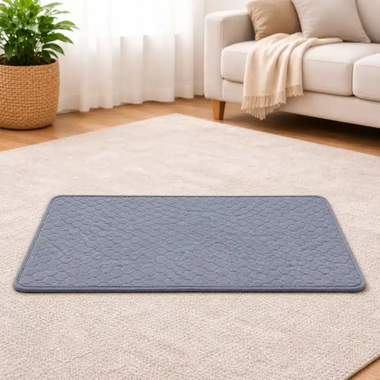 Tapis d’éducation pour chien