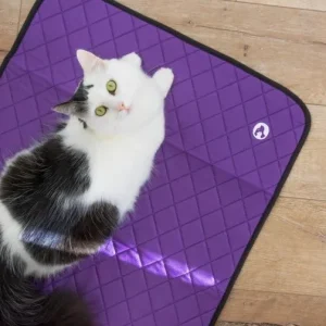 Tapis d'hygiène drypop 85x60 cm