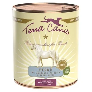 Terra Canis, cheval pour chien