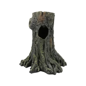 Terra Della Arbre à Gecko