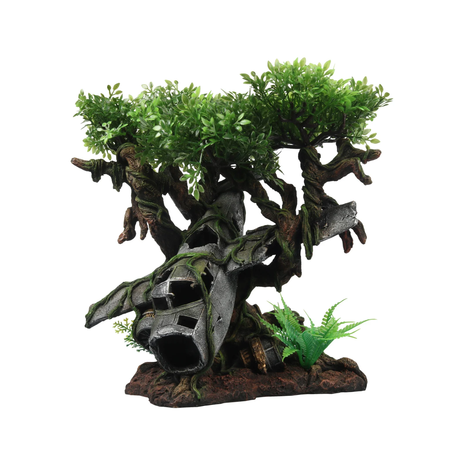 Terra Della Arbre d'Épave d'Avion