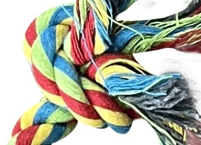 Tootoy! - Corde à Noeud Multicolore - Image 2