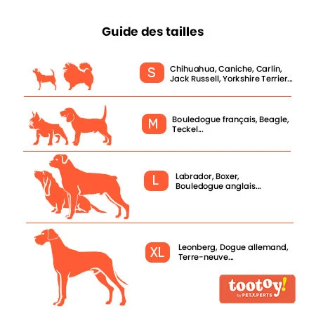 Tootoy! - Jouet Dentaire Os Trio - Image 2