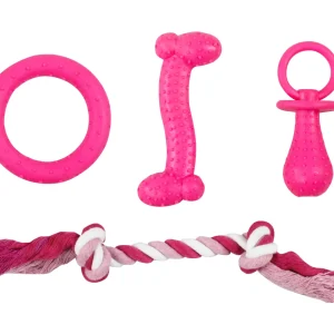 Tootoy! - Set Chiot Dentaire x4