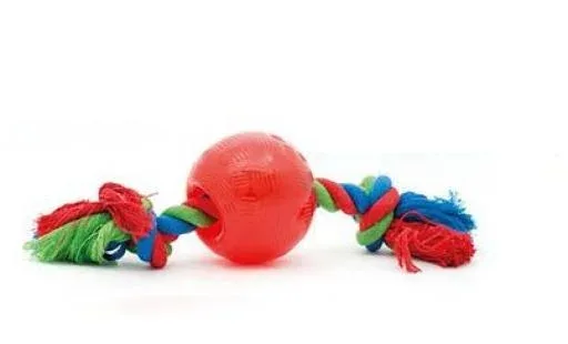 Toys Radical Jouet Radical Rouge Boule avec Corde Taille L – France