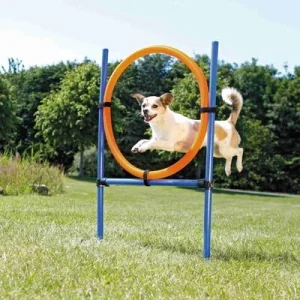 TRIXIE Cerceau d'agilité pour chiens 115 x 3cm plastique