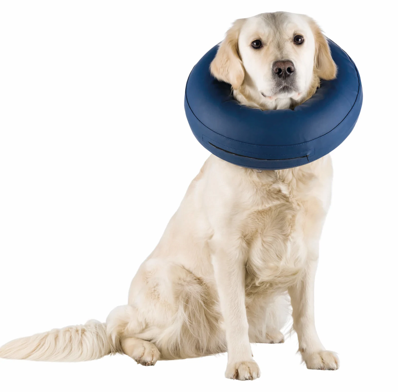 Trixie - Collerette de Protection Gonflable pour Chien - Image 2