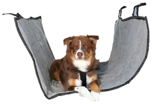 Trixie Couvre-sièges Voiture Nylon, 1.45×1.60M – France
