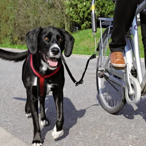 Trixie - Kit de Séparation Vélo Biker-Set pour Grand Chien