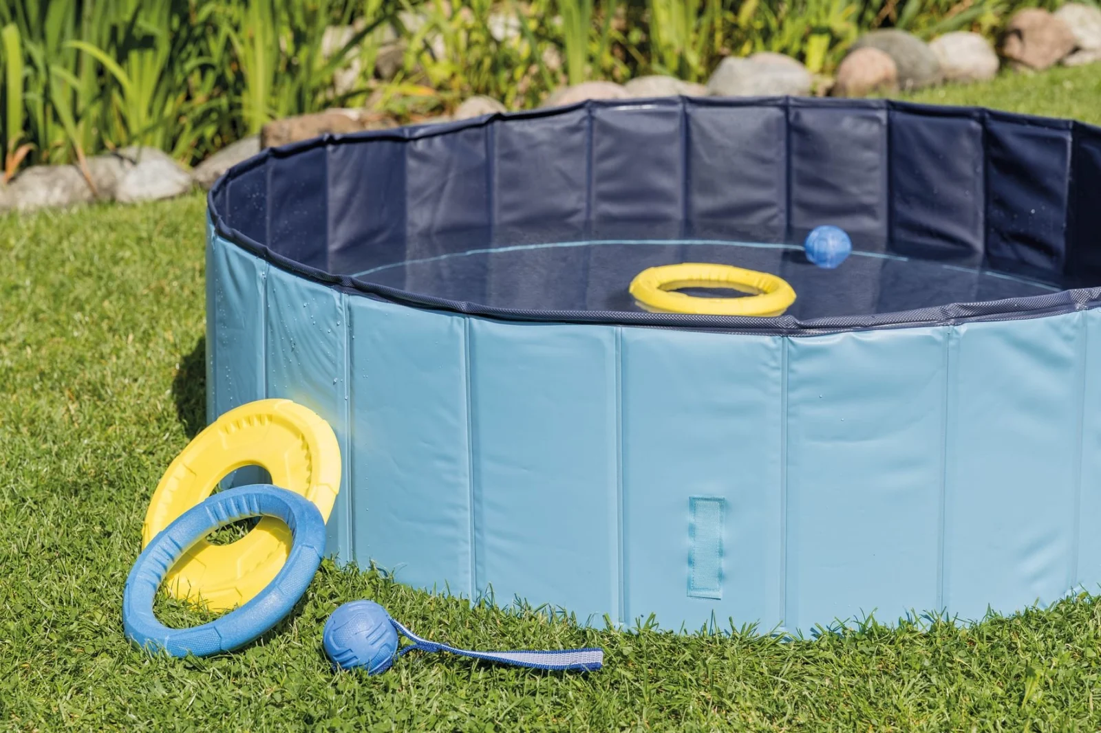 Trixie - Piscine en Plastique Bleu pour Chien - Ø 70cm - Image 2