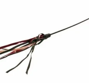Trixie Stick de jeu avec plumeau en cuir – France