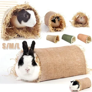 Tunnel pour Lapin fait maison