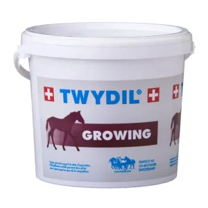 Twydil Growing Poulain