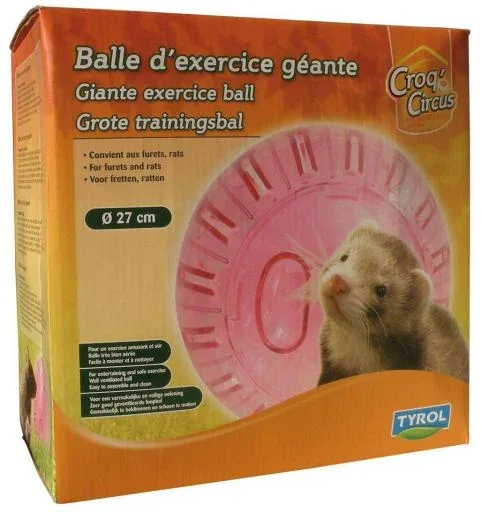 Tyrol Balle Plastique Furet Tyrol Diam 27 – France