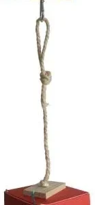 Tyrol Jouet Tresor Pako Reflex 30Cm Tyrol – France