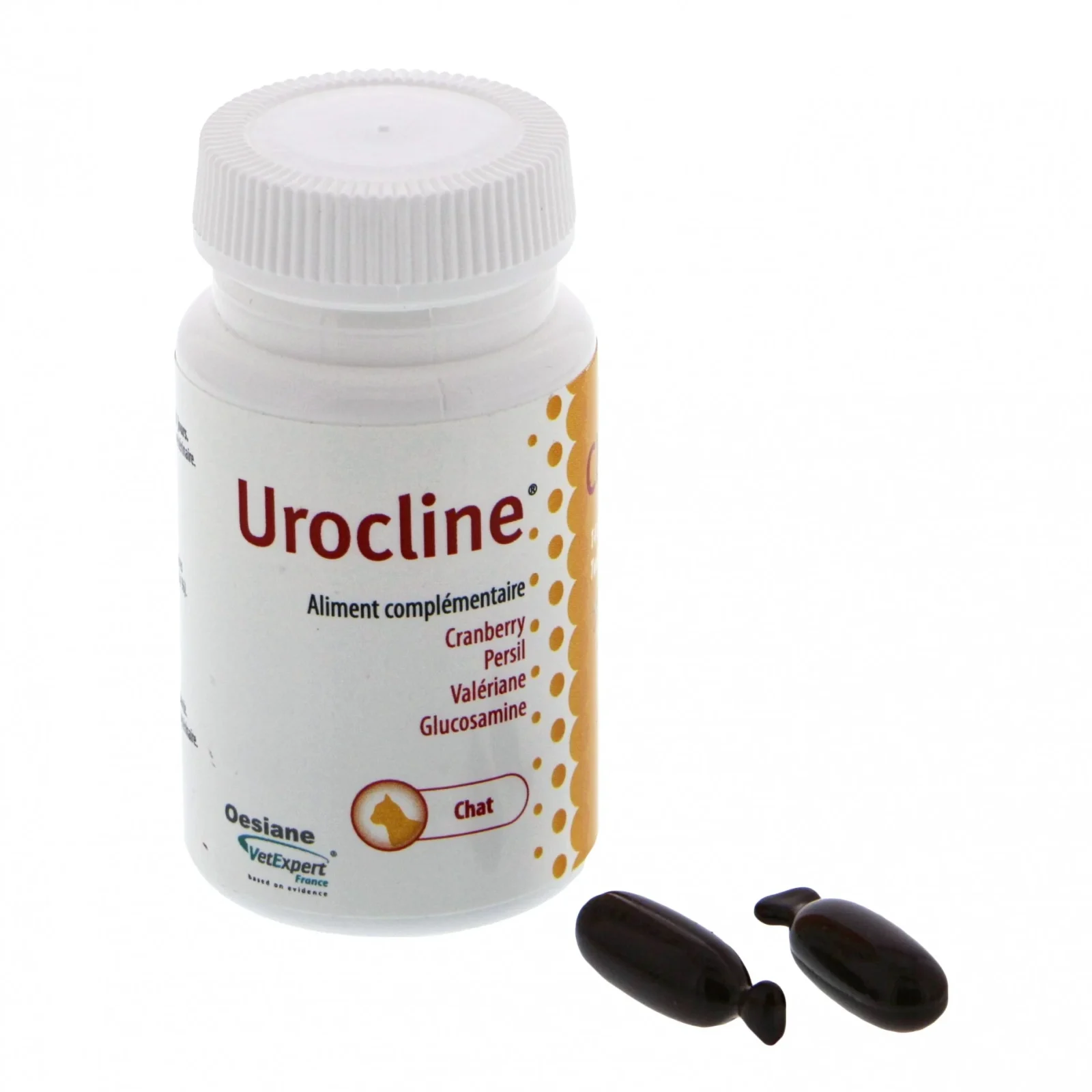 Urocline Chat - Image 2