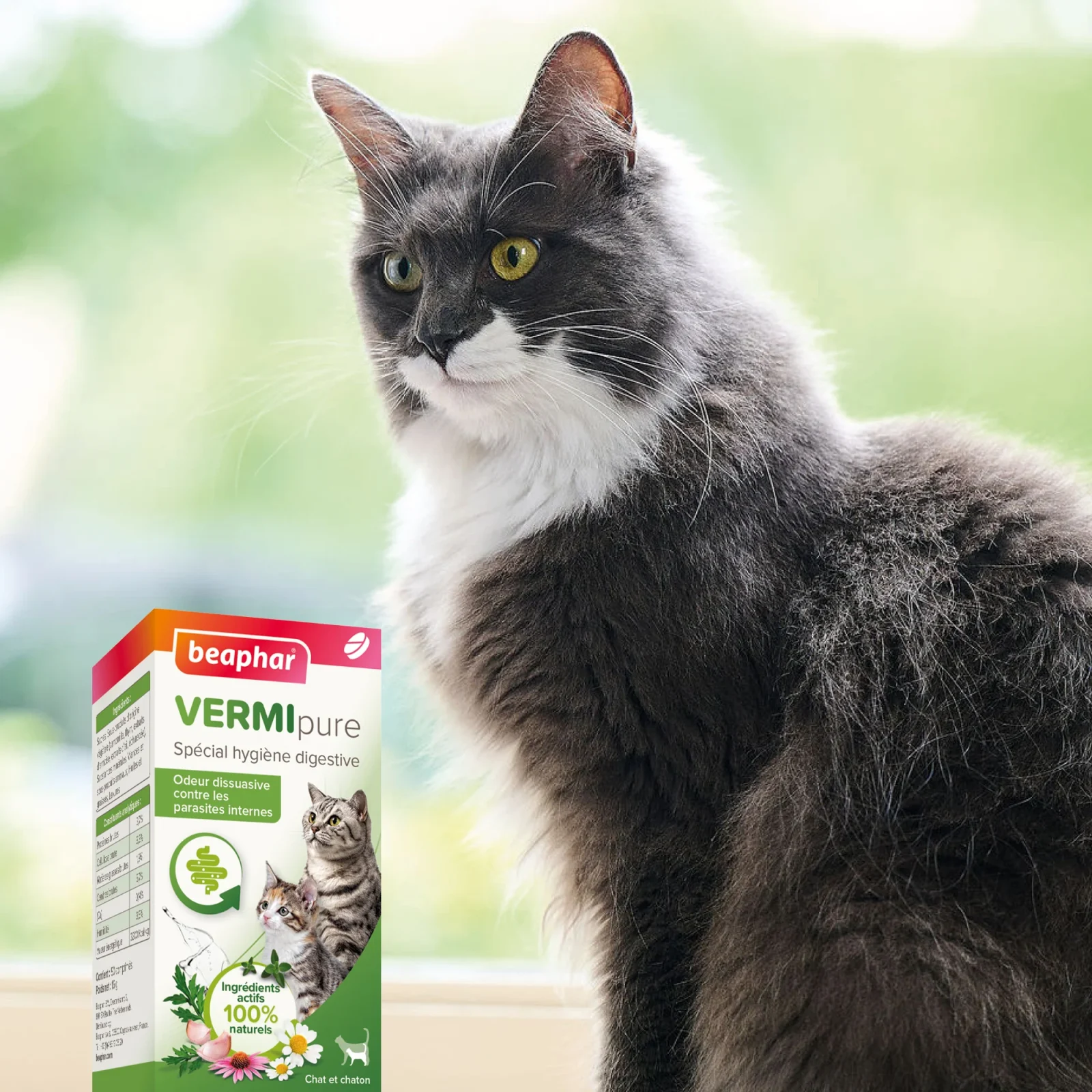 Vermipure comprimés Purge chat, chaton - Image 2