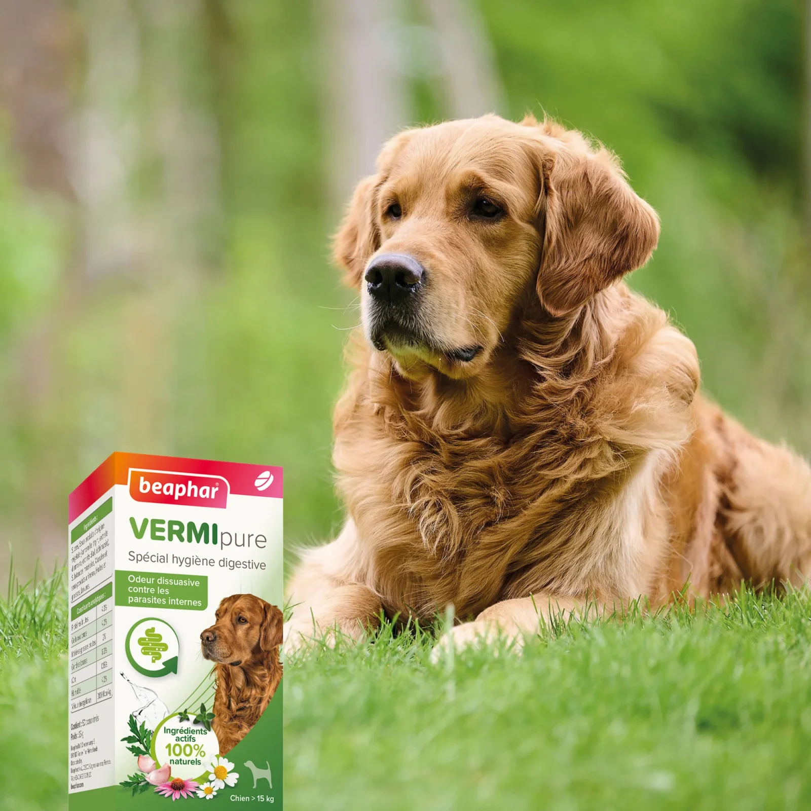 Vermipure comprimés Purge grand chien - Image 2