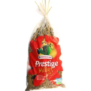 VERSELE-LAGA – Millet Jaune en grappe