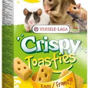 Versele Laga Snack pour Rongeurs Crispy Toasties de Fromage – France