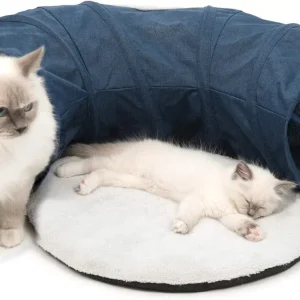 Vesper tunnel bleu chat