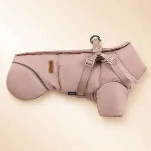 Veste hiver avec harnais petit chien