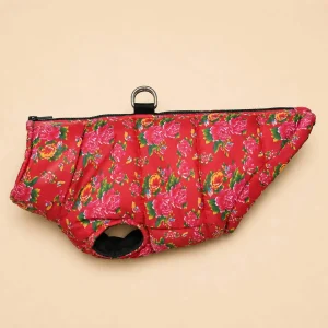 Veste rouge fleur rose petit chien