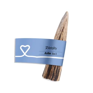 Vetality Antler | Chien