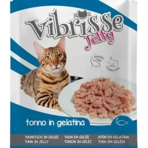 Vibrisse Thon en Gélatine Sachet – France