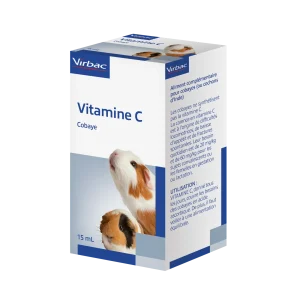 Vitamine C cobaye