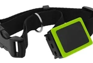Weenect Localisateur Gps pour Animaux de Compagnie – France