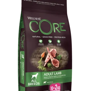 Wellness CORE - Croquettes à l'Agneau pour Chien de Toutes Races