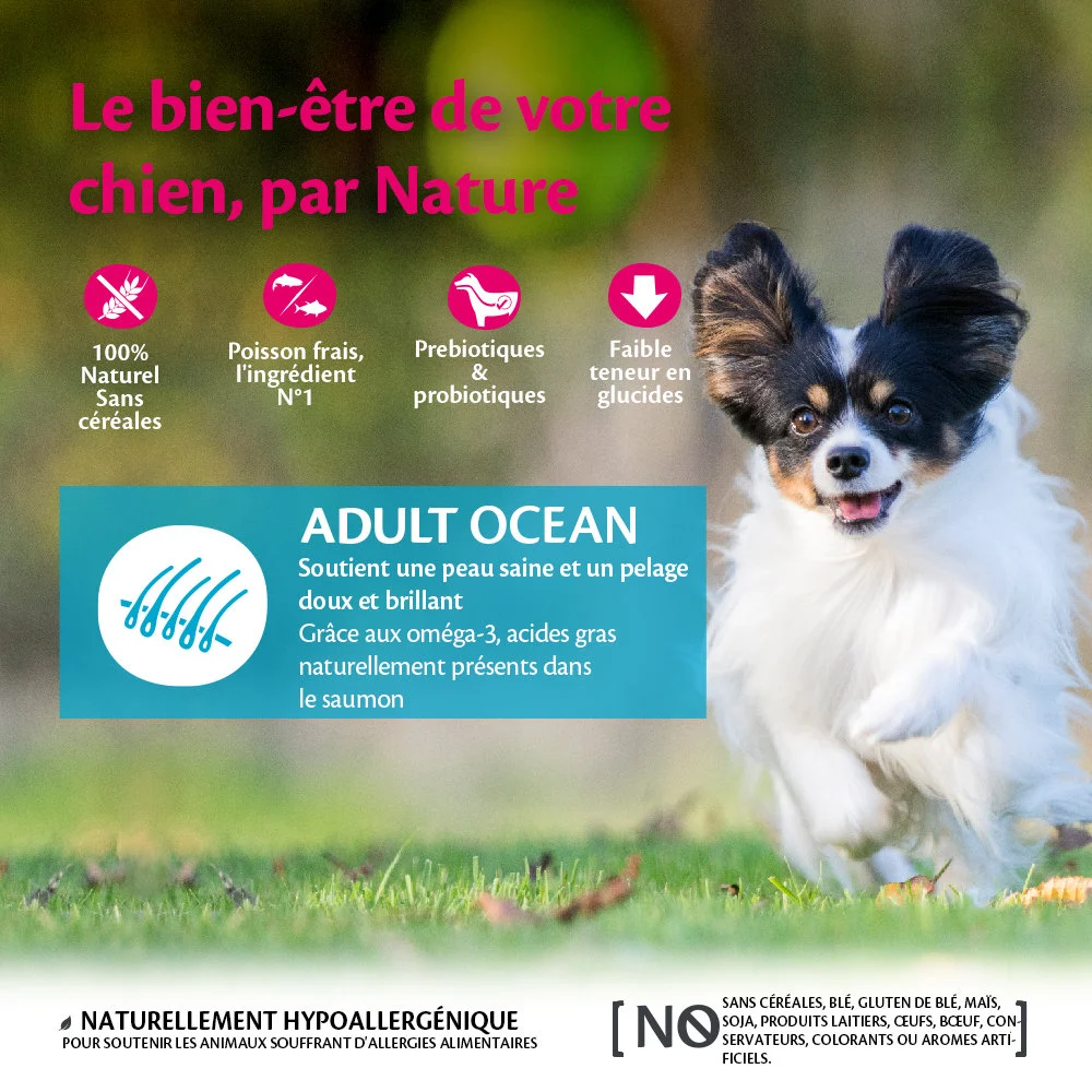 Wellness CORE - Croquettes Océan au Saumon pour Chien de Petie race - Image 2
