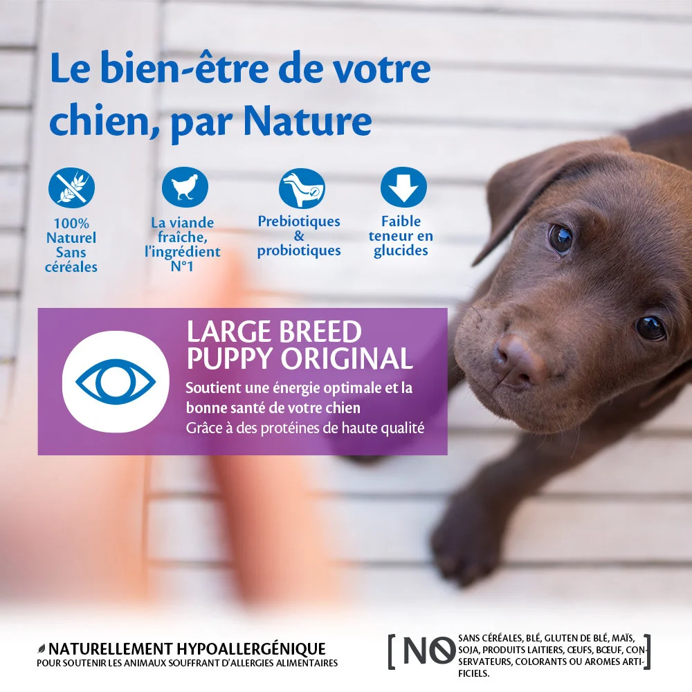 Wellness CORE - Croquettes Puppy Poulet pour Chiot Grande Race - 10Kg - Image 2