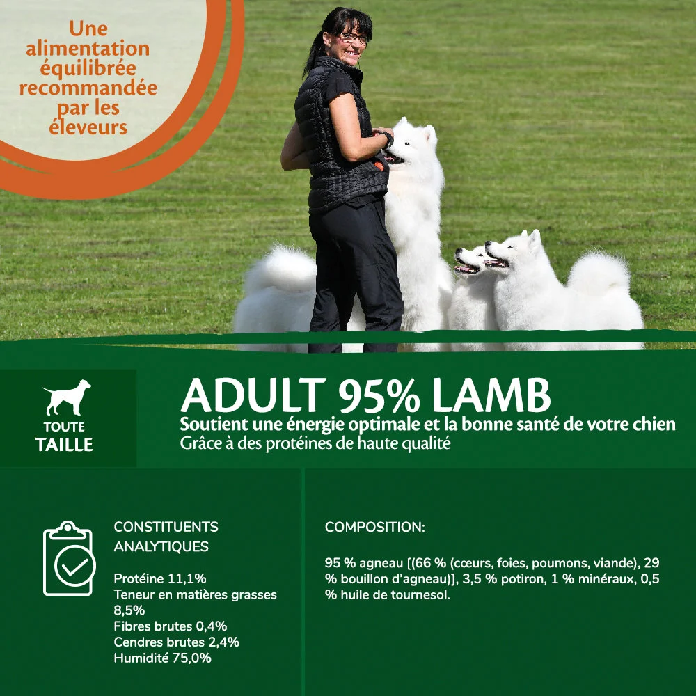 Wellness CORE - Repas Complet 95% d'Agneau pour Chien - 400g - Image 2