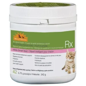 WELLY TAILS Chaton Départ Intelligent 242g