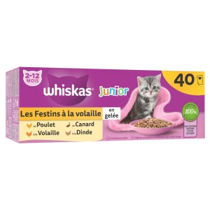 Whiskas - Sachets Fraîcheurs Junior Les Festins à la Volaille en Gelée pour Chatons - 40x85g