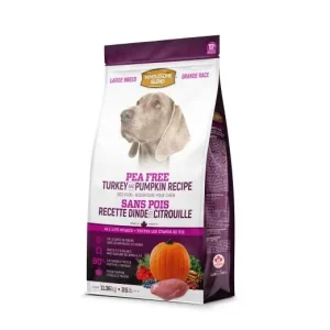 WHOLESOME BLEND – Dinde et Citrouille sans pois grande race pour chien