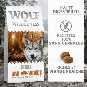 Wolf of Wilderness Adulte « Oak Woods », sanglier