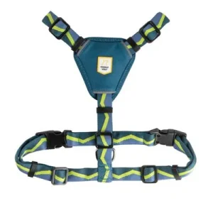 Woolly Wolf Harnais Horizon Deep Teal Mix
