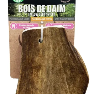 Wouapy