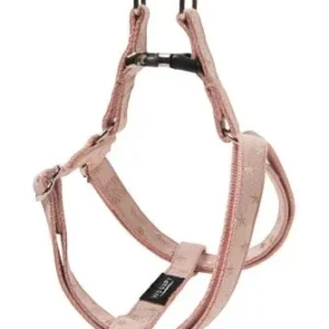 Wouapy - Harnais Star Parachute