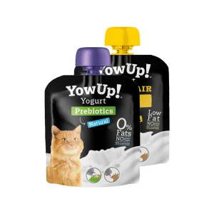 YowUp! Yoghurt Cats