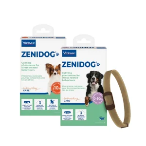Zenidog Collier | Chien