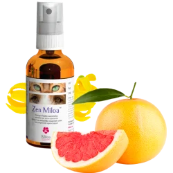 Zenmiloa
