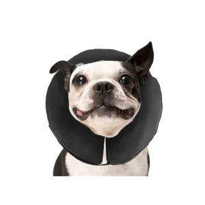 ZenPet Pro Collar