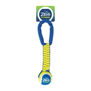 ZEUS FITNESS K9 Jouet Chien Balle/Scoubidou à Tirer 12″