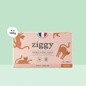 Ziggy Adult Boeuf Pâtée Pour Chat
