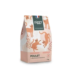 Ziggy adulte stérilisé