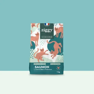 Ziggy adulte stérilisé au saumon